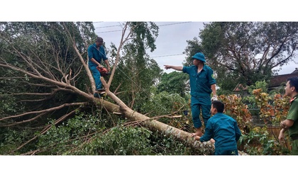 TỔNG DỌN VỆ SINH MÔI TRƯỜNG SAU MƯA BÃO