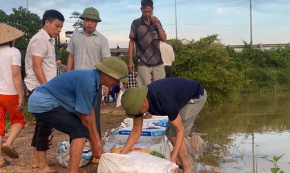 THÔN THỤY HƯƠNG GIA CỐ ĐÊ NGĂN LỤT TRÀN
