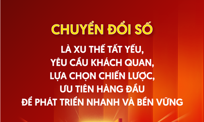 GIỚI THIỆU BỘ NHẬN DIỆN CHUYỂN ĐỔI SỐ QUỐC GIA 2025 