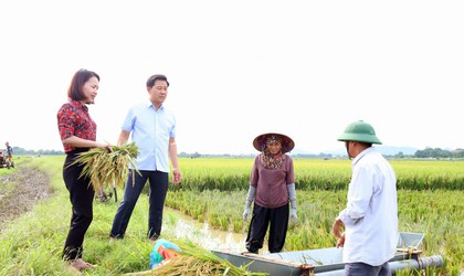 Giám đốc Sở Nông Nghiệp và Môi trường thành phố Hà Nội thăm và chỉ đạo công tác phòng chống lũ lụt tại xã Đa Phúc
