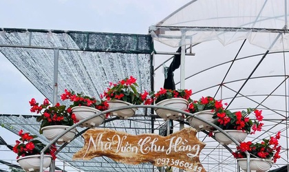 Làng hoa cây cảnh Tích Giang – Điểm đến xanh cho những trải nghiệm độc đáo