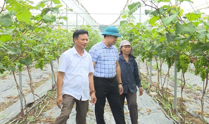 Ông Nguyễn Văn Tuấn – Trưởng thôn năng động, nhiệt tình