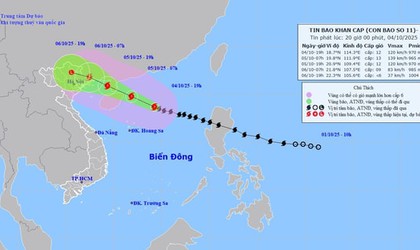 Chủ tịch UBND thành phố Hà Nội chỉ đạo khẩn trương ứng phó bão số 11