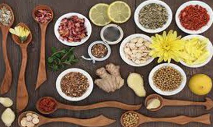 Xử lý vị thuốc cổ truyền Hà thủ ô đỏ chế vi phạm chất lượng mức độ 2