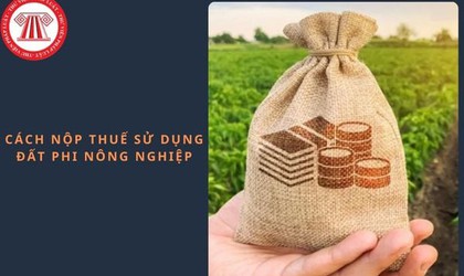 UBND xã Sóc Sơn Hướng dẫn nộp thuế sử dụng đất phi nông nghiệp qua ứng dụng eTax Mobile