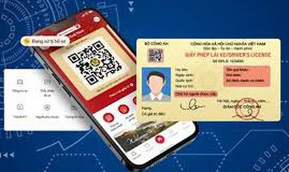 Hướng dẫn làm sạch dữ liệu phương tiện và Giấy phép lái xe