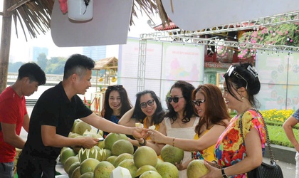 Người nông dân với hành trình nâng tầm bưởi Diễn tại HTX VietGAP Đồng Tiến