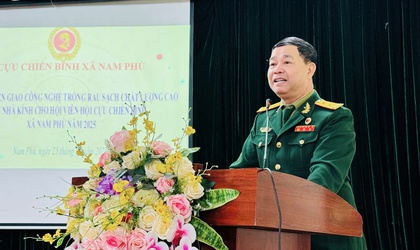 Hội CCB xã Nam Phù chuyển giao công nghệ trồng rau sạch trong nhà kính: Mở hướng làm kinh tế bền vững cho hội viên