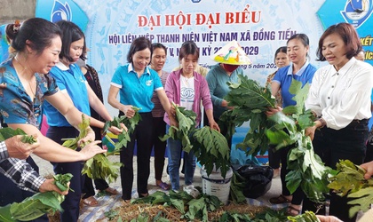 Gương cán bộ phụ nữ tích cực tham gia xây dựng NTM.