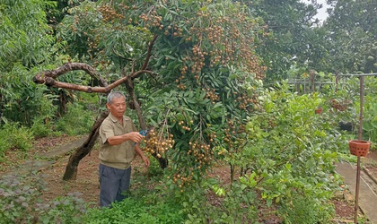 Gương thương binh, “tàn nhưng không phế”