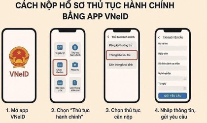 Hướng dẫn nộp hồ sơ trực tuyến bằng app VNeID