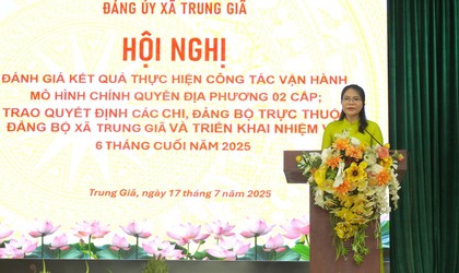ĐẢNG BỘ TRUNG GIÃ TRAO QUYẾT ĐỊNH THÀNH LẬP CÁC CHI, ĐẢNG BỘ TRỰC THUỘC VÀ ĐÁNH GIÁ KẾT QUẢ CÔNG TÁC VẬN HÀNH MÔ HÌNH CHÍNH QUYỀN ĐỊA PHƯƠNG 02 CẤP 
