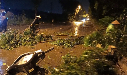 Xã Hạ Bằng: Khắc phục hậu quả giông lốc, dọn dẹp cây xanh ngã đổ