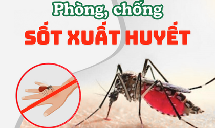 Kế hoạch phòng, chống Sốt xuất huyết đợt cao điểm phục vụ các hoạt động kỷ niệm 80 năm Cách mạng tháng Tám thành công và Quốc khánh nước CHXHCN Việt Nam