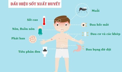 Tăng cường công tác phòng, chống bệnh sốt xuất huyết trên địa bàn phường Kiến Hưng