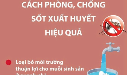 Cách phòng, tránh sốt xuất huyết hiệu quả