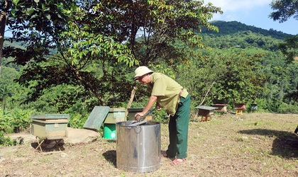 Bệnh binh Hoàng Công Tặng - quyết tâm phủ xanh vùng đồi gò