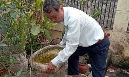Tăng cường phòng chống dịch bệnh sốt xuất vì sức khỏe của của cả cộng đồng