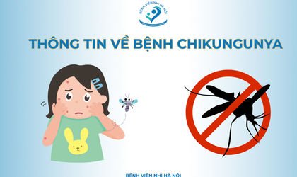 Bệnh CHIKUNGUNYA và cách phòng tránh