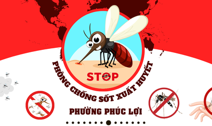 Phường Phúc Lợi tổ chức chiến dịch tổng vệ sinh môi trường, diệt bọ gậy, phòng, chống bệnh Sốt xuất huyết trên địa bàn phường năm 2025