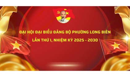 Công văn về việc tổ chức Hội nghị góp ý kiến vào văn kiện Đại hội các cấp và giới thiệu nhân sự dự Đại hội đại biểu Đảng bộ phường lần thứ I, nhiệm kỳ 2025-2030