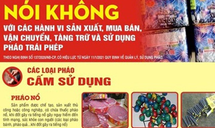 Hoài Đức phát động phong trào thi đua tuyên truyền, vận động giao nộp và đấu tranh với tội phạm, vi phạm pháp luật về vũ khí, vật liệu nổ, công cụ hỗ trợ