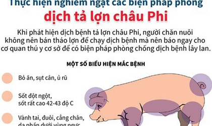 XÃ HẠ BẰNG CHỦ ĐỘNG TRIỂN KHAI CÁC BIỆN PHÁP PHÒNG, CHỐNG DỊCH TẢ LỢN CHÂU PHI