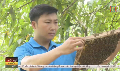 Mật ong hoa Nhãn Tuấn Minh- Sản phẩm OCOP 3 sao.
