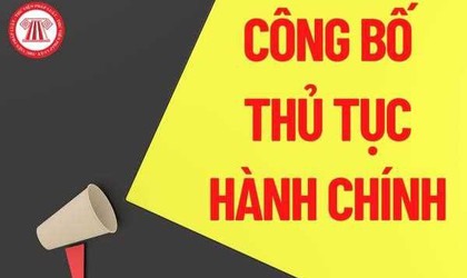 QUYẾT ĐỊNH Về việc công bố Danh mục thủ tục hành chính được sửa đổi, bổ sung trong lĩnh vực xuất nhập khẩu thuộc phạm vi chức năng quản lý của UBND thành phố Hà Nội