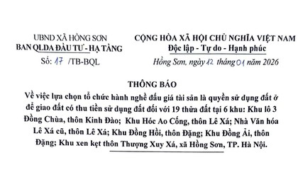 Thông báo số 17/TB-BQL ngày 12/01/2026 của Ban quản lý dự án Đầu tư - Hạ tầng