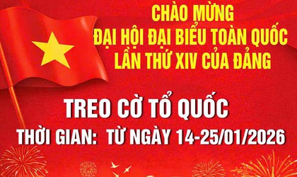 TREO CỜ TỔ QUỐC CHÀO MỪNG ĐẠI HỘI ĐẠI BIỂU TOÀN QUỐC LẦN THỨ XIV CỦA ĐẢNG