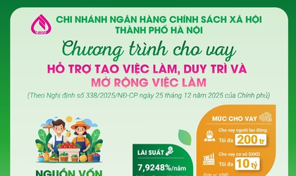Ngân hàng Chính sách xã hội Hoài Đức triển khai Chính sách Cho vay hỗ trợ tạo việc làm, duy trì và mở rộng việc làm trên địa bàn 4 xã: Hoài Đức, An Khánh, Dương Hòa, Sơn Đồng.