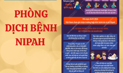 PHÒNG CHỐNG BỆNH DỊCH BỆNH NIPAH