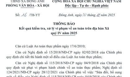 Kết quả kiểm tra, xử lý vi phạm về an toàn trên địa bàn xã Đông Anh quý IV năm 2025
