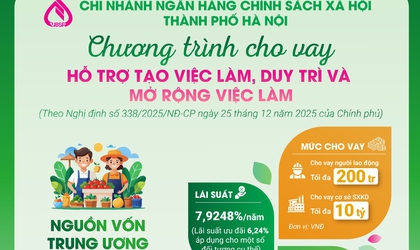 Ngân hàng Chính sách xã hội Hoài Đức triển khai Chính sách Cho vay hỗ trợ tạo việc làm, duy trì và mở rộng việc làm trên địa bàn 4 xã: Hoài Đức, An Khánh, Dương Hòa, Sơn Đồng.