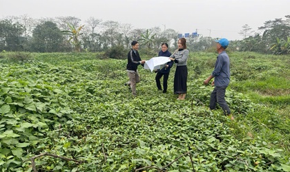 TỔ CHỨC CƯỠNG CHẾ KIỂM ĐẾM BẮT BUỘC PHỤC VỤ DỰ ÁN HẠ TẦNG KỸ THUẬT KHU ĐẤT ĐẤU GIÁ