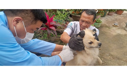 Chủ động kiểm soát dịch bệnh- Từ 2/3 Hòa Lạc tiêm phòng dại diện rộng cho đàn chó, mèo tại thôn 6 và thôn 8