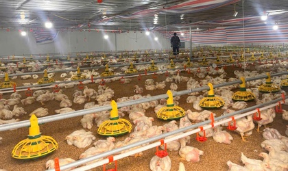 Hiệu quả nguồn vốn vay Ngân hàng CSXH ở Đoài Phương

