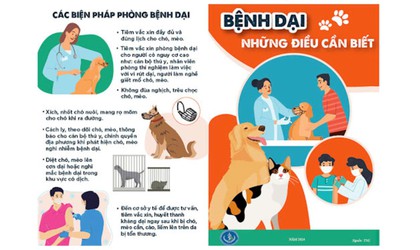 Bệnh Dại và các biện pháp phòng, chống dịch bệnh