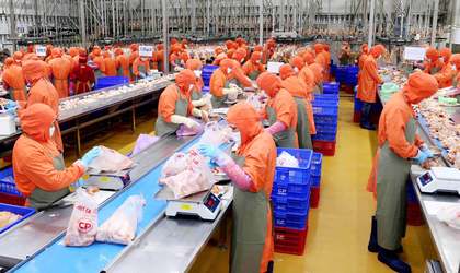 Xuân Mai: Dừng hoạt động các cơ sở giết mổ nhỏ lẻ không đủ điều kiện từ ngày 30/6/2026