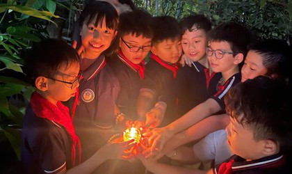 HƯỞNG ỨNG GIỜ TRÁI ĐẤT LAN TỎA HÀNH ĐỘNG XANH