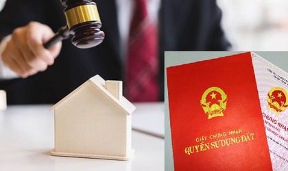 Kế hoạch đấu giá quyền sử dụng đất trên địa bàn phường Phúc Lợi năm 2026