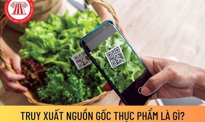 Mỗi người dân cần mua bán và sử dụng thực phẩm rõ nguồn gốc