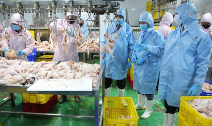 Thực hiện kiểm soát giết mổ, kiểm tra vệ sinh thú y tại các cơ sở được phép hoạt động