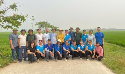 Công trình Hàng cây xanh – Dấu ấn thiết thực trong xây dựng NTM nâng cao.