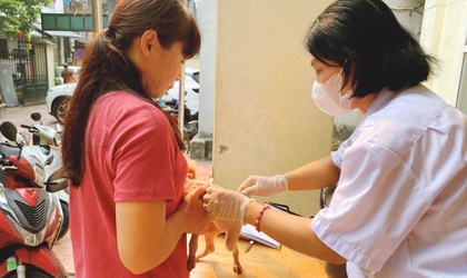 Phường Thanh Liệt: Hoàn thành chi tiêu tiêm phòng dại cho chó, mèo đợt 1/2026