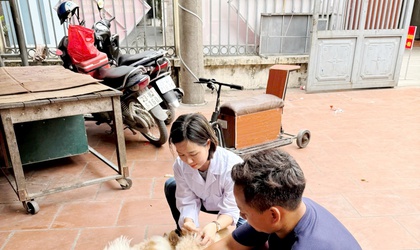 QUỐC OAI ĐẨY MẠNH TIÊM PHÒNG VẮC XIN DẠI CHO ĐÀN CHÓ, MÈO NĂM 2026