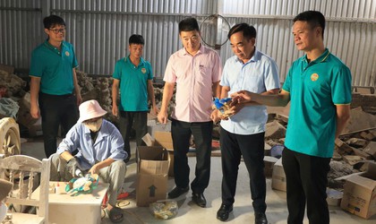 Nông dân xã Thường Tín thúc đẩy phát triển kinh tế thông qua nguồn vốn vay ưu đãi