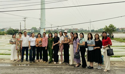 Xã Thường Tín tăng cường truy xuất nguồn gốc thực phẩm, đảm bảo an toàn bữa ăn bán trú năm học 2025-2026