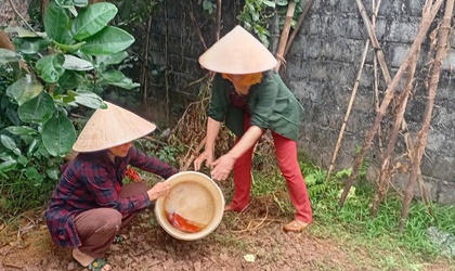 Phụ nữ xã Quảng Bị ra quân “Ngày Chủ nhật xanh”, tăng cường phòng chống sốt xuất huyết